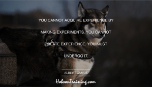 Image 0060 - acquire experience